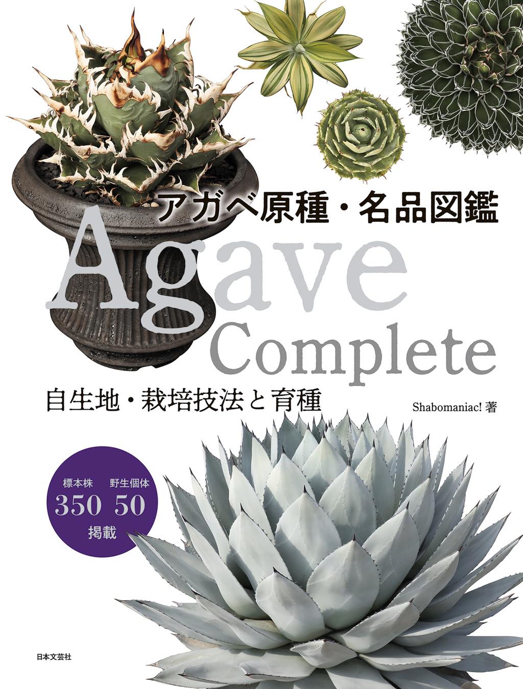 トゲの美学を極める一冊 ── アガベの世界を網羅する決定版『Agave